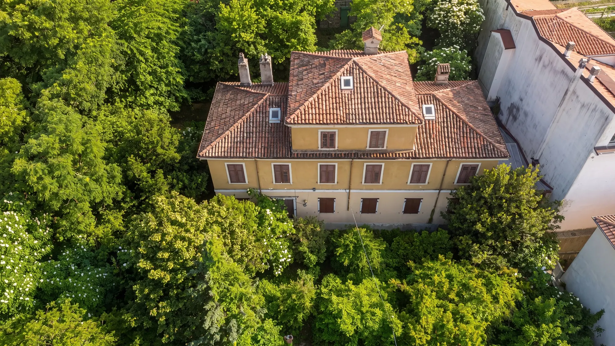 Villa d'epoca da ristrutturare, parco privato — San Luigi