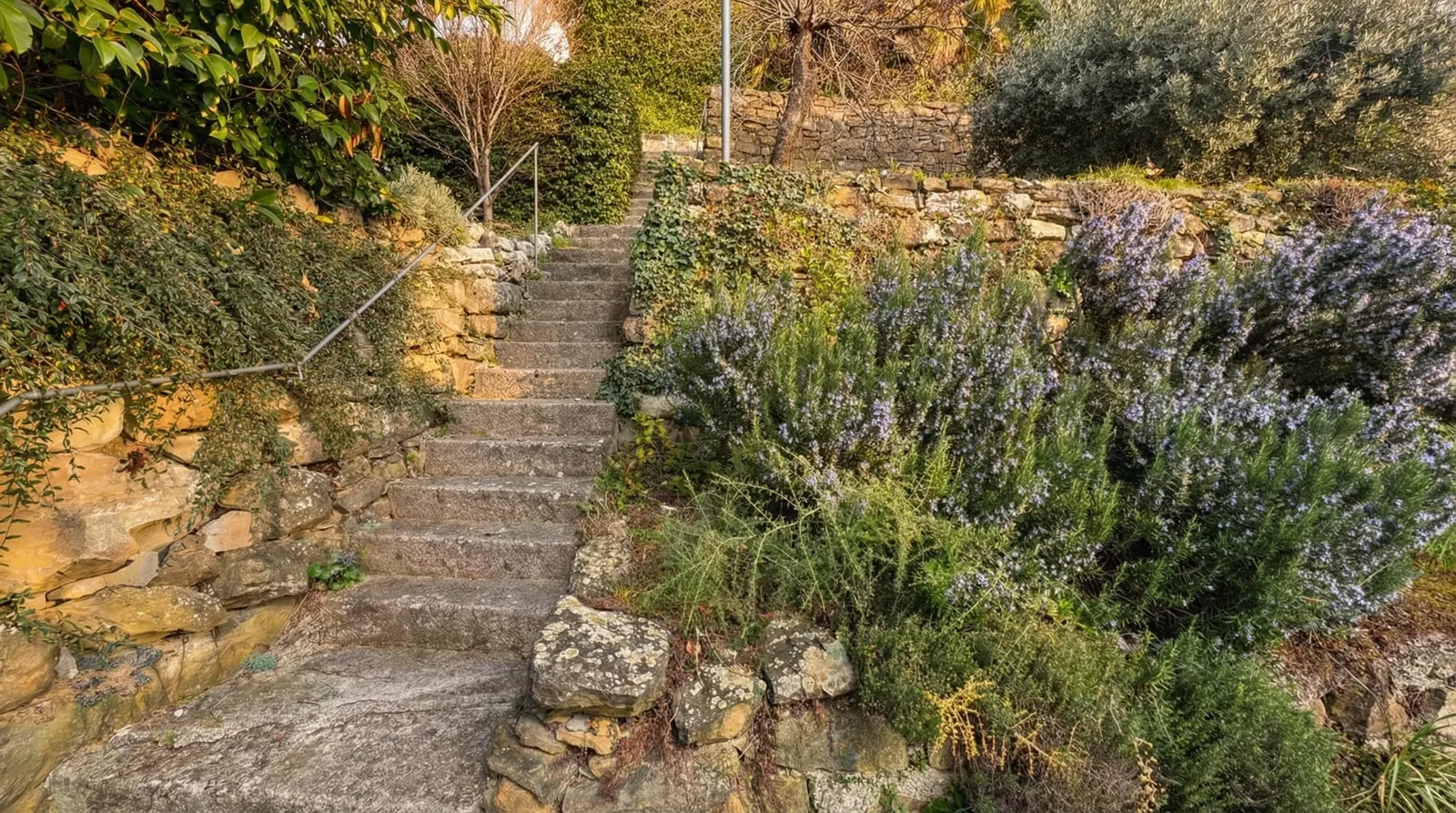 Il giardino a terrazze