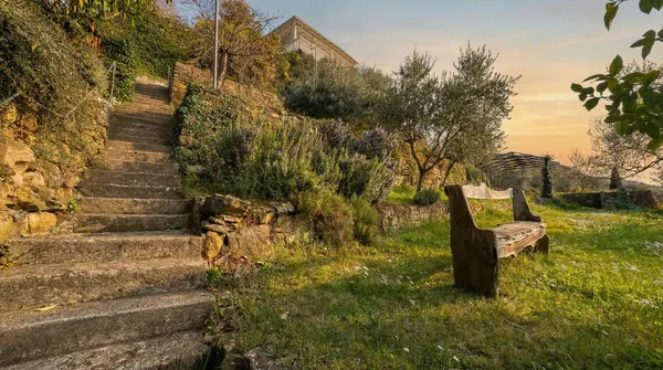 Zgodovinska vila ob Obalni cesti — fotografija 8 od 76