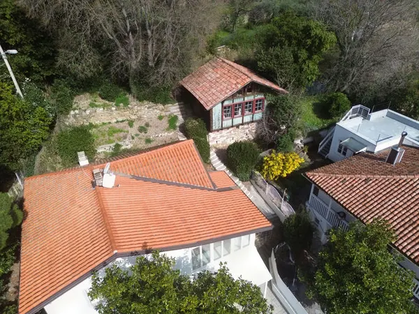 Zgodovinska vila ob Obalni cesti — fotografija 3 od 76