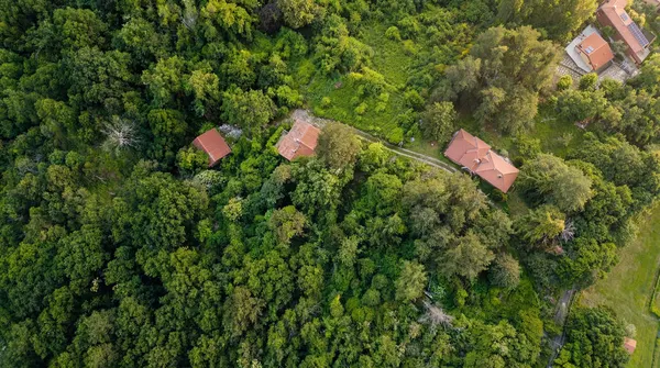 Villino (pluri unità) con parco gigante, vista mare. Via degli Olmi alta.