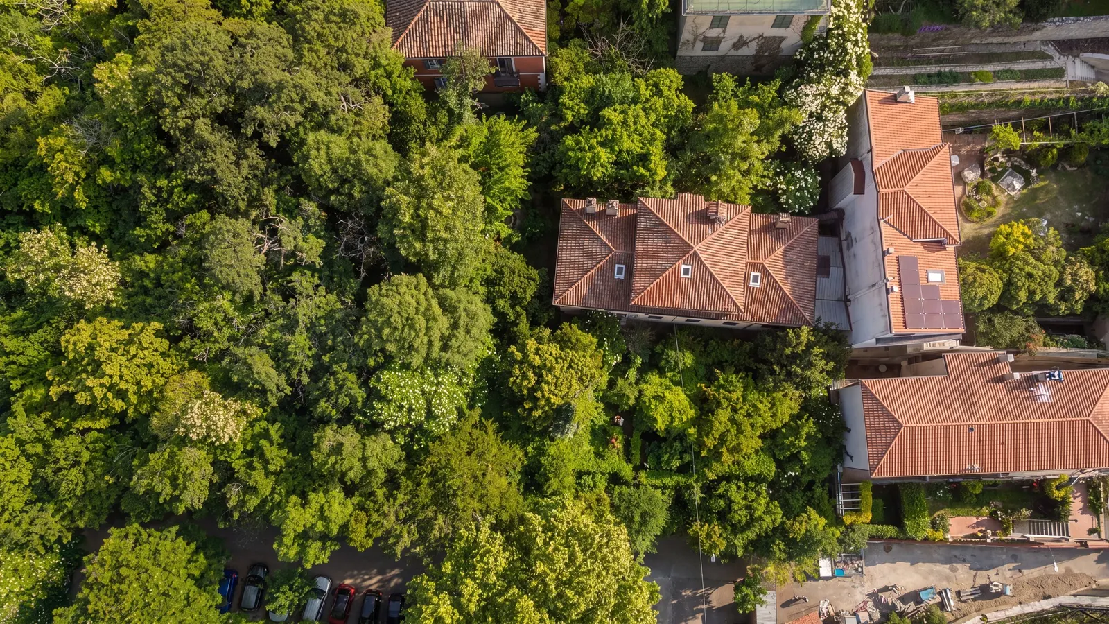 Zgodovinska vila, potrebna prenove, z zasebnim parkom – Sveti Alojzij (San Luigi) — Danes je to gozdiček
