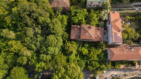 Villa d'epoca da ristrutturare, parco privato — San Luigi