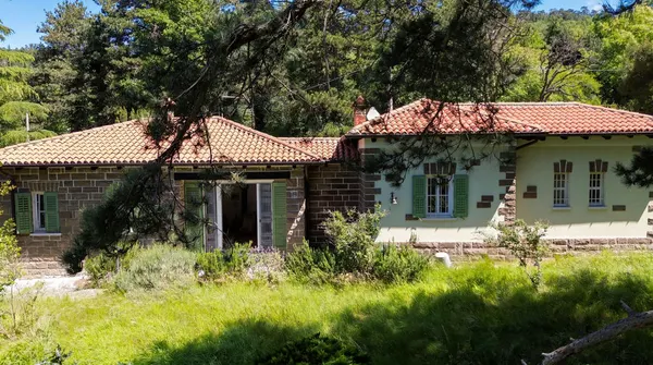 Villino (pluri unità) con parco gigante, vista mare. Via degli Olmi alta.