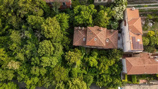 Villa d'epoca da ristrutturare, parco privato — San Luigi